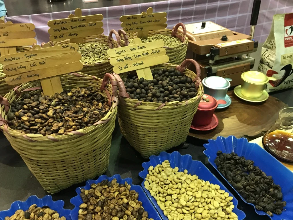 Hạt khác nhau cần rang khác nhau thế nào — hình minh họa cà phê không có người